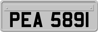PEA5891