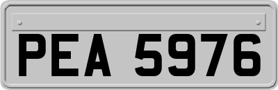 PEA5976