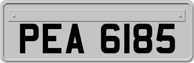 PEA6185