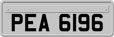PEA6196