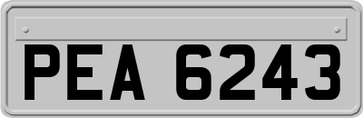 PEA6243
