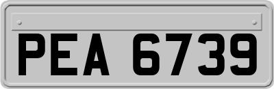 PEA6739