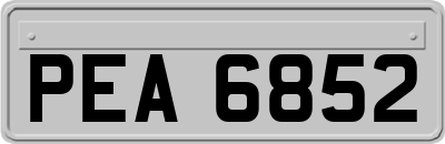 PEA6852