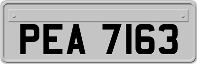 PEA7163