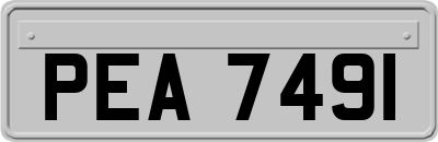PEA7491