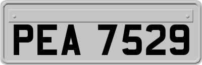 PEA7529