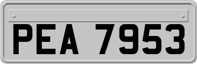 PEA7953