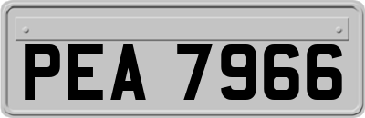 PEA7966