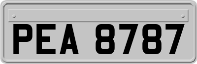 PEA8787