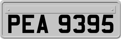 PEA9395