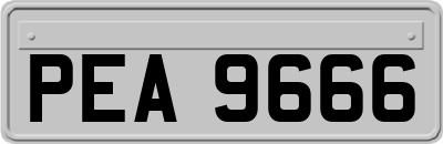 PEA9666