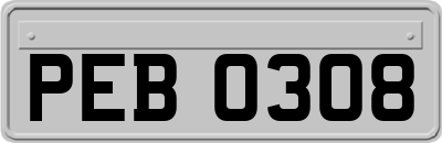 PEB0308