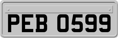PEB0599