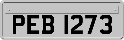 PEB1273