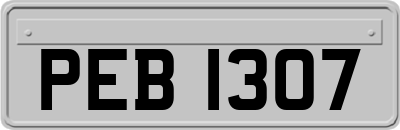 PEB1307