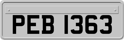PEB1363