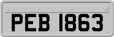 PEB1863