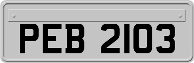 PEB2103