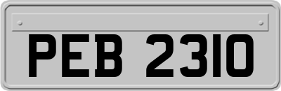 PEB2310