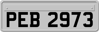 PEB2973