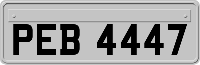 PEB4447