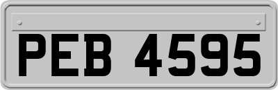 PEB4595