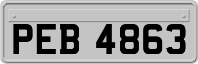 PEB4863