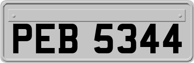 PEB5344