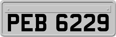 PEB6229