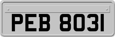 PEB8031