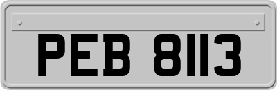 PEB8113