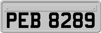 PEB8289