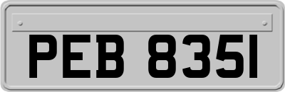 PEB8351
