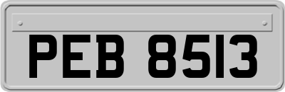 PEB8513