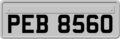 PEB8560