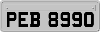 PEB8990