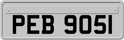 PEB9051