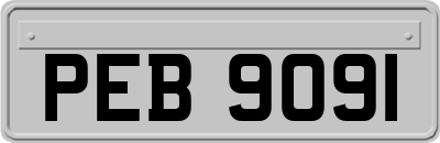 PEB9091