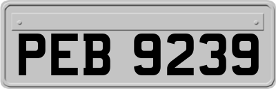 PEB9239