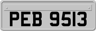 PEB9513