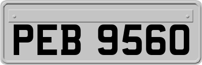 PEB9560