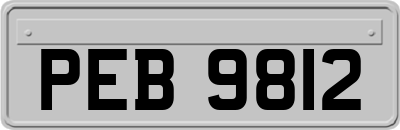 PEB9812