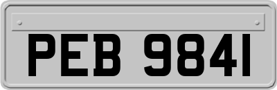 PEB9841