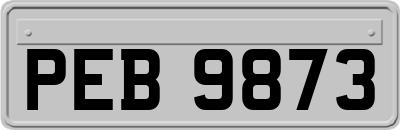 PEB9873