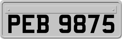 PEB9875