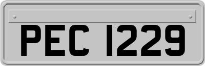 PEC1229