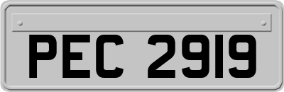PEC2919
