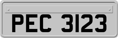 PEC3123