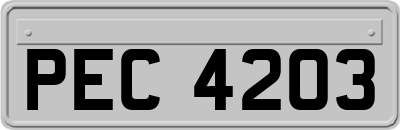 PEC4203