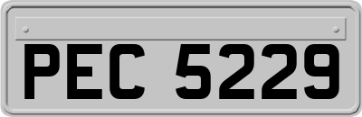 PEC5229